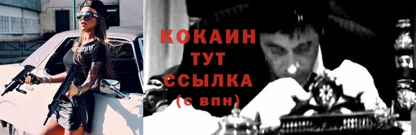 apvp Аркадак