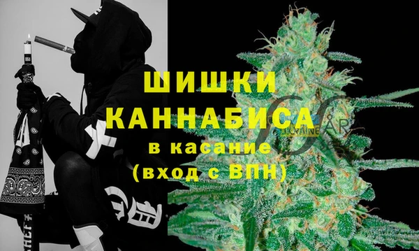 apvp Аркадак