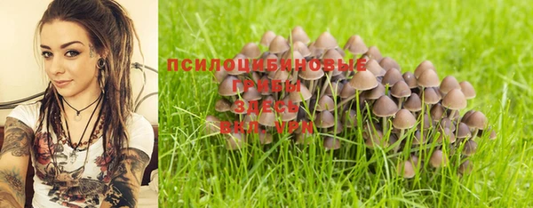 apvp Аркадак